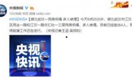 武汉举报新闻爆料平台,助力城市治理，共建和谐社区