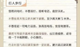 最新台风爆料视频播放大全,揭秘台风爆料视频大全